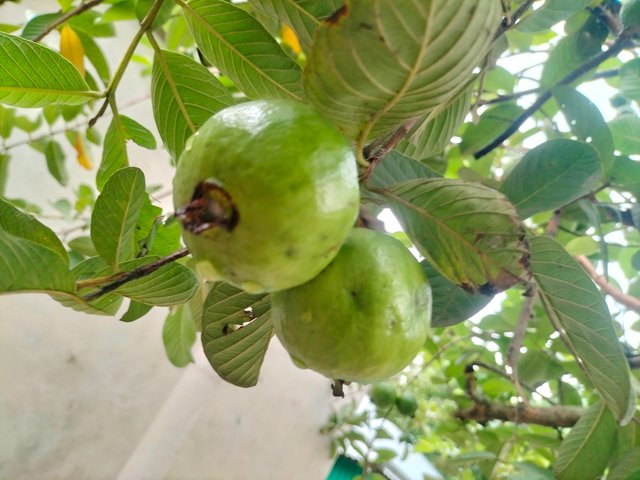 IMG20250705173149.jpg