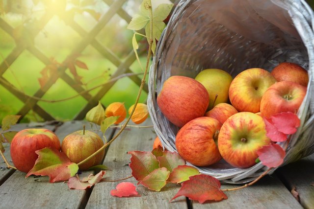 apples-1776744_1920.jpg