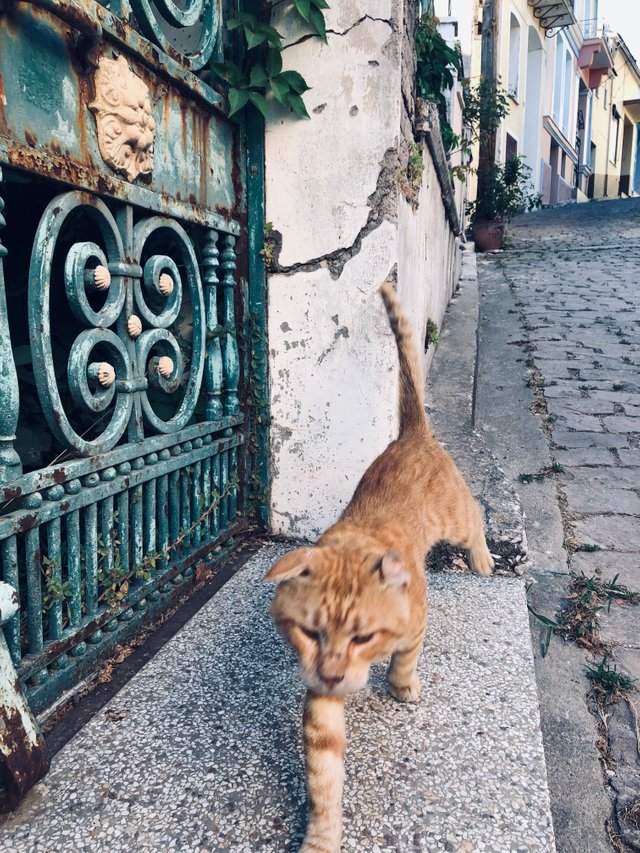 IMG_0912.jpeg