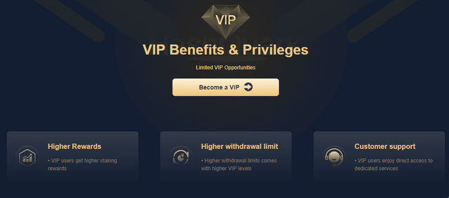 VIP-EN.png