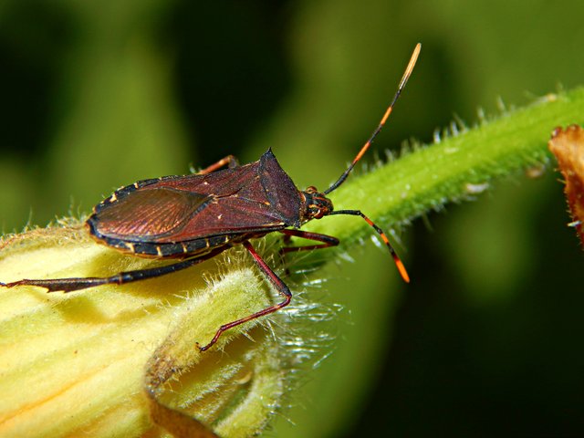 DSCN9206.jpg