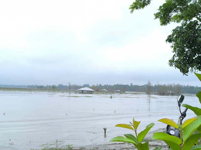 IMG_20250912_081501.jpg