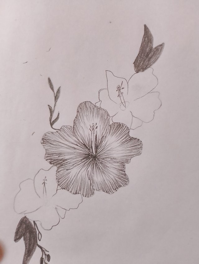 1000029664.jpg