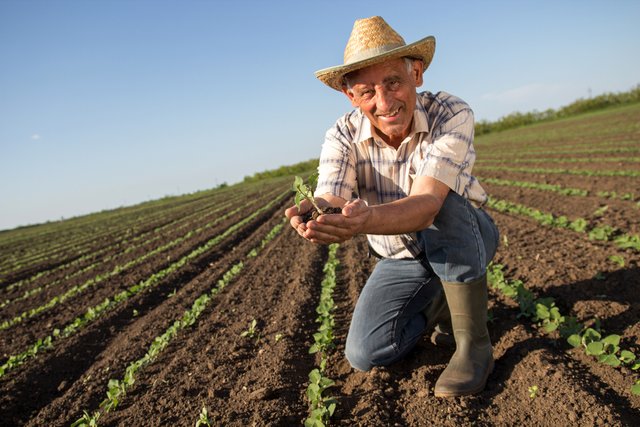 Photo of a farmer holding a plant.jpg