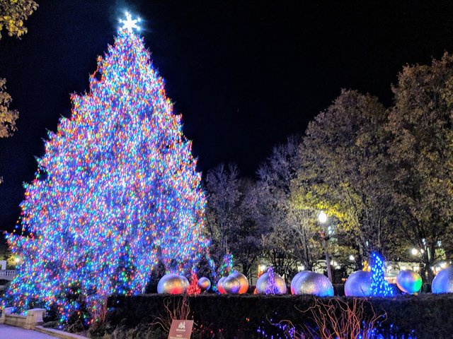 20181207 Xmas Tree Michigan.jpg