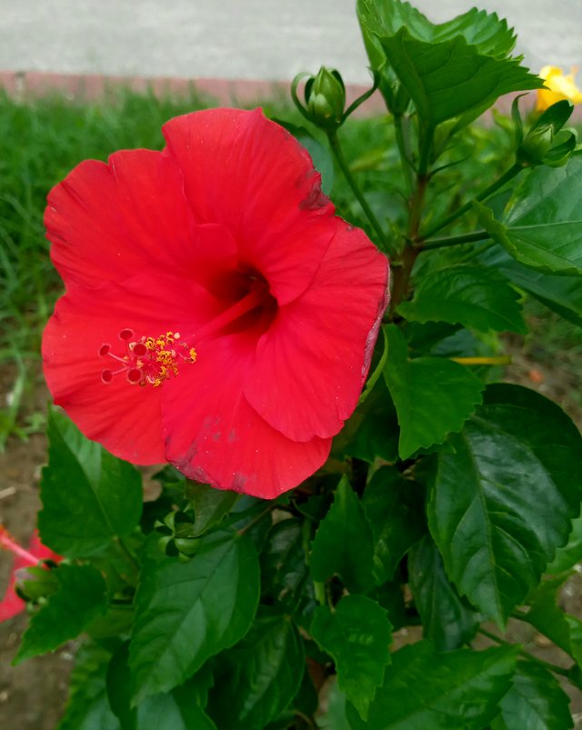 20220518_102116.jpg