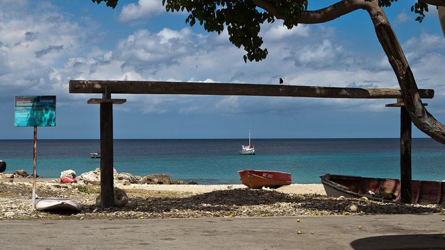 11818733206-playa-piscadowestpuntcuracao (FILEminimizer).jpg