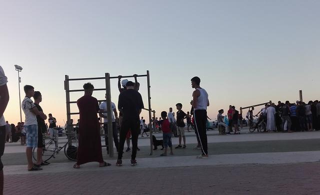 20180708_Muscle Beach.png