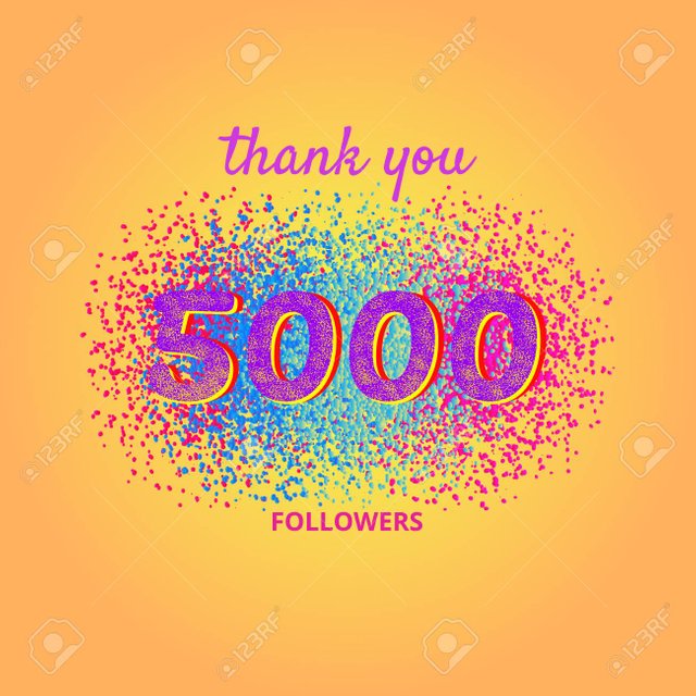 91347231-5000-followers-card-thank-you-5k-followers-banner-with-frame-on-bright-background-simple-vector-illu.jpg