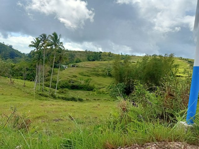 IMG20230319142710.jpg