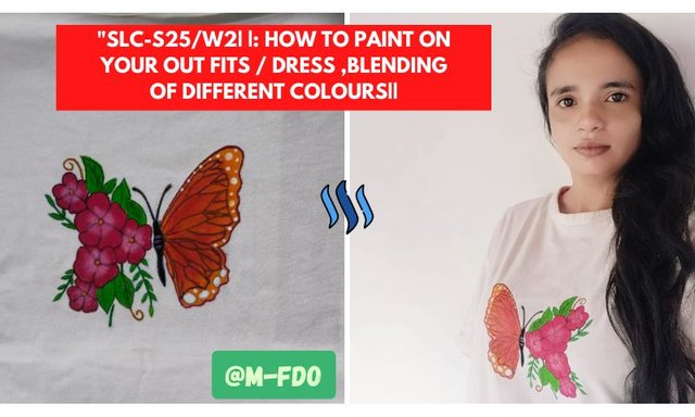 SLC-S25W2 how to paint on your out fits dress ,blending of different colours.jpg