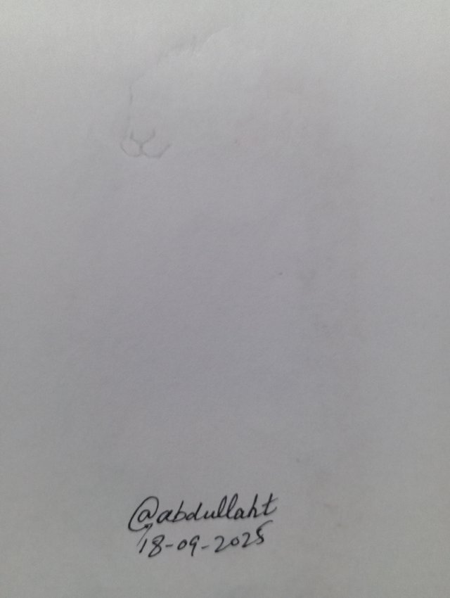 1000105187.jpg