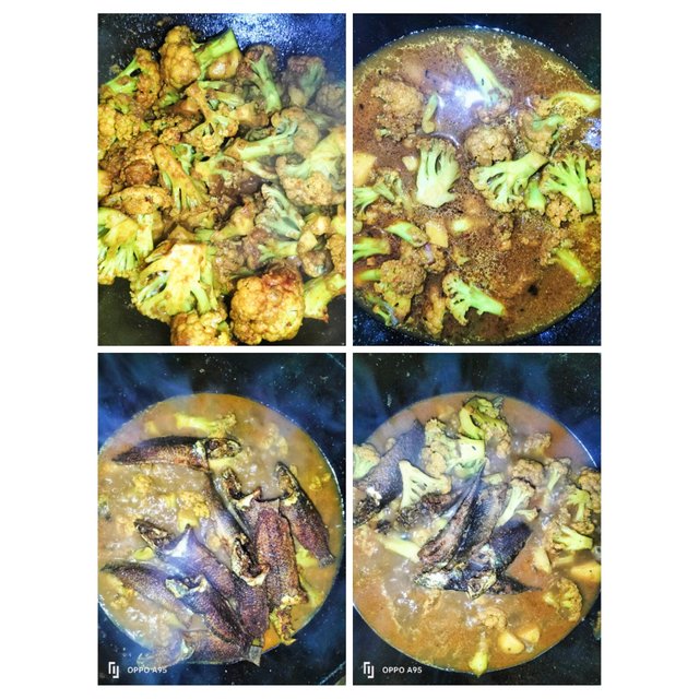 PhotoCollage_1747990453864.jpg