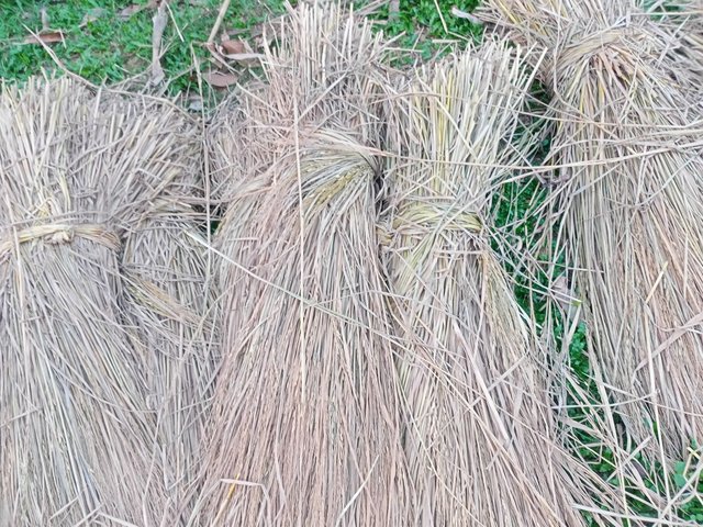 IMG20250423181457.jpg