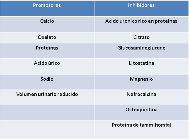 Dieta litiasis acido urico