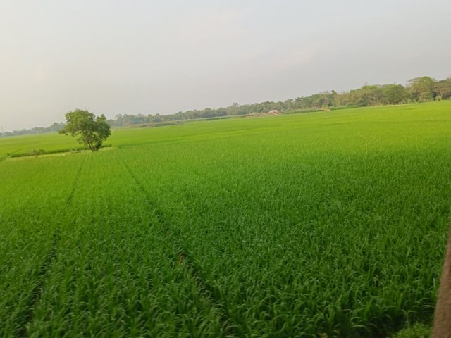 IMG20250314163908.jpg