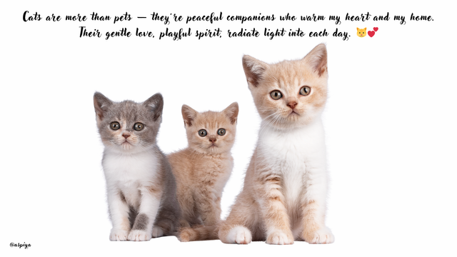 Cute Illustrative Cat Salon and Grooming Presentation.png