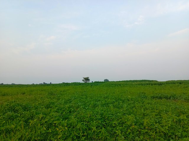 IMG_20250810_082848.jpg