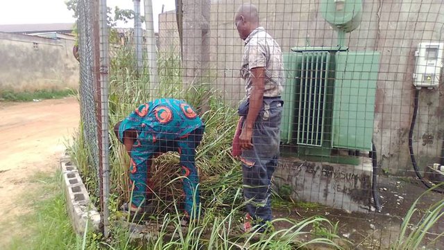 Power Authorities Clearing Grasses At APower Transformer Site.jpg