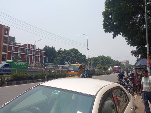 মিটি (1).jpg