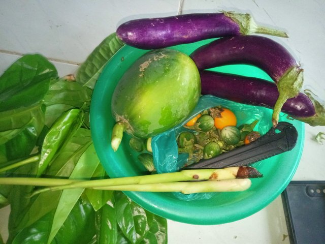IMG20250824083524.jpg