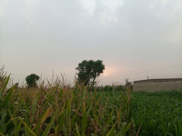 IMG_20250623_183749_805.jpg