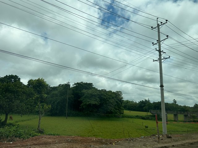 IMG_1076.jpeg