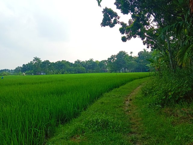 IMG_20250922_070334.jpg