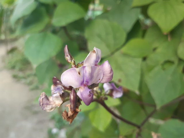 20201221_153851.jpg