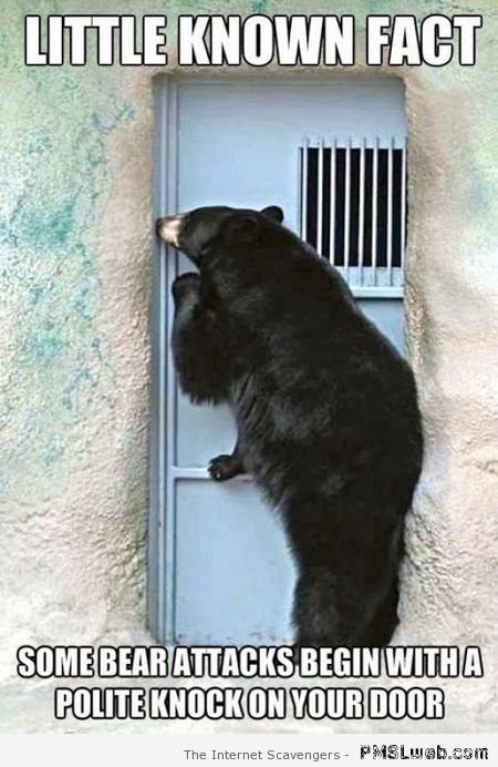 14-bear-knocking-at-your-door-meme.jpg