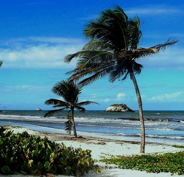 Playa caracola.jpg