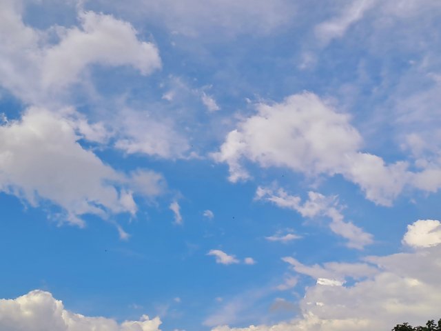 20250713_154654.jpg