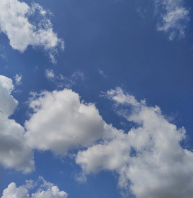 IMG_20250711_210813.jpg