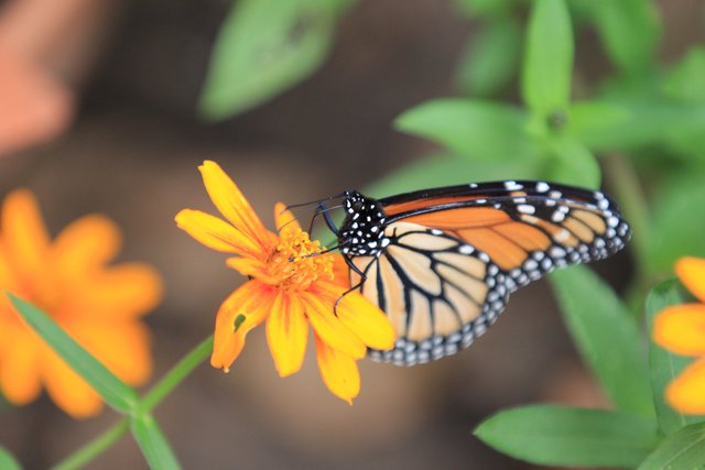 AR3_3830.JPG
