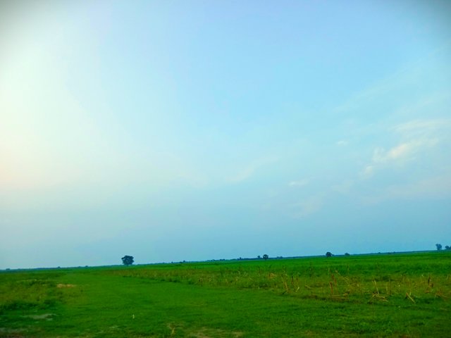 IMG_20250605_214834.jpg
