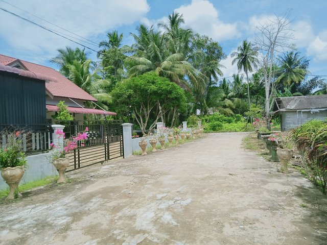 IMG20250312124540.jpg