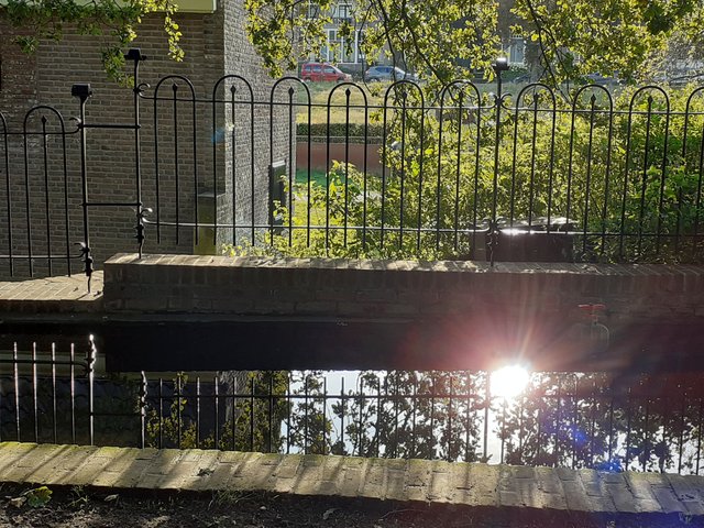 20250928_172625.jpg