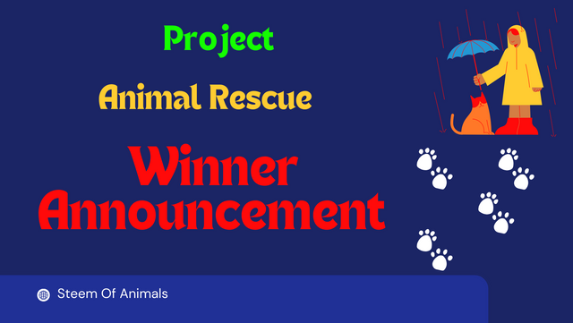Blue Illustrated Animal Rescue Steemit Cover.png
