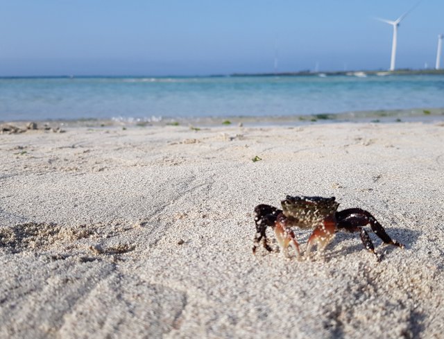 20180713_153630.jpg