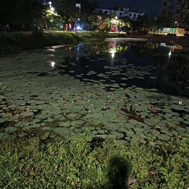 1000036037.jpg
