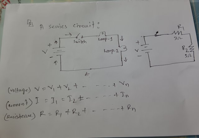 1000036788.jpg