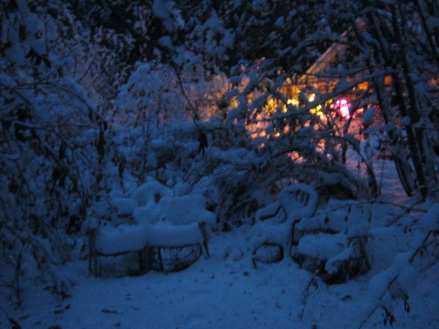 Snows on chairs in sunken garden with pink glow from grow lights.JPG