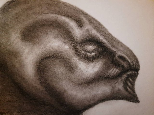 20250521_112500.jpg