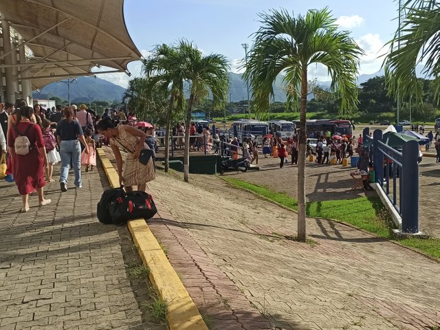 IMG_20250801_112039.jpg