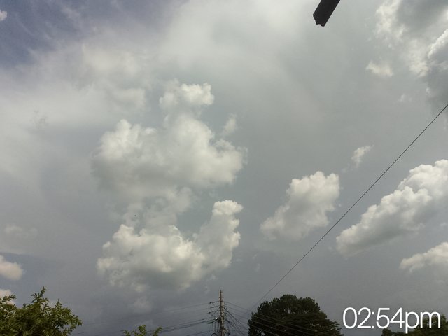 FotoGrid_20250812_162752964.jpg