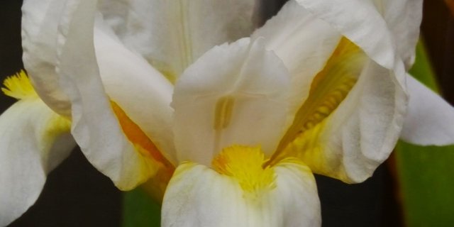 IMG_20221001_080414_822.jpg