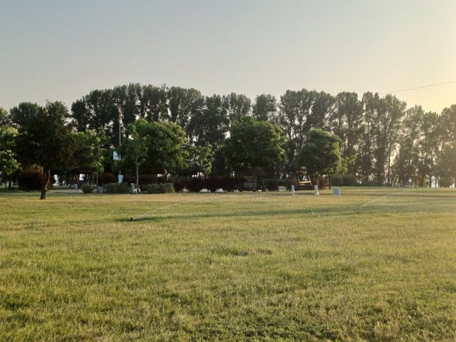 20250616_055133.jpg