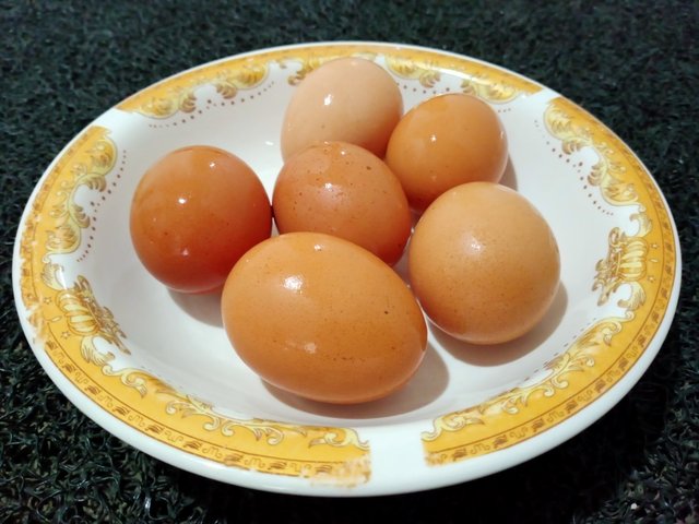 IMG20250914085926.jpg