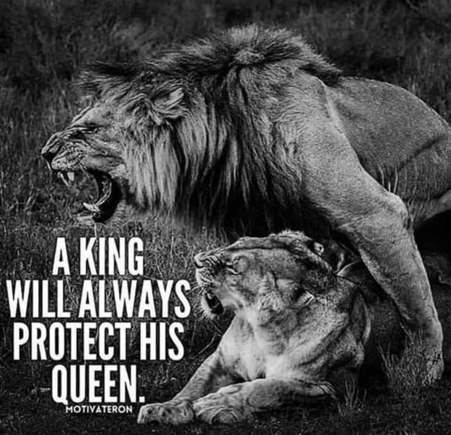 A King Will Always Protect His Queen.jpg