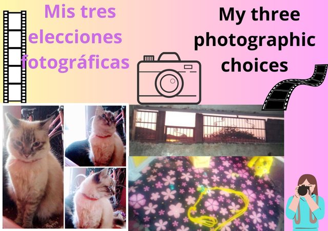 My three photographic choices.jpg